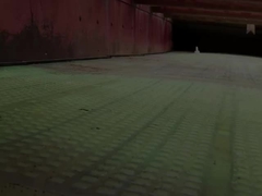 পিইউ স্ক্রিন প্যানেল ২